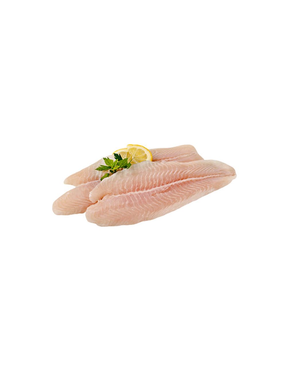 Kofer Fillet